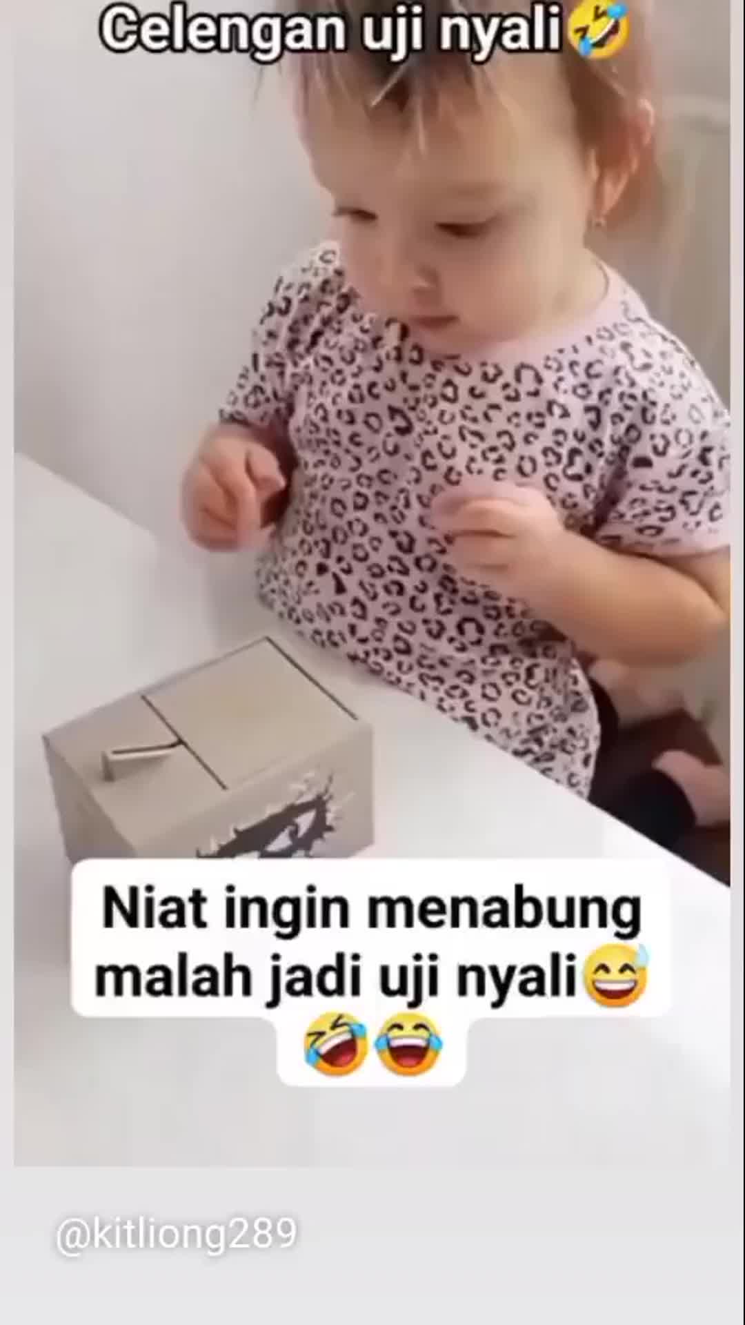 celengan uji nyali