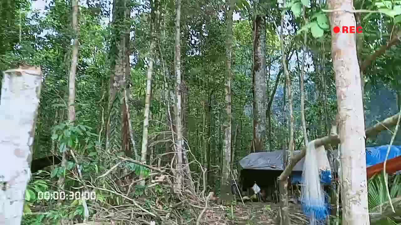 kehidupan di alam papua