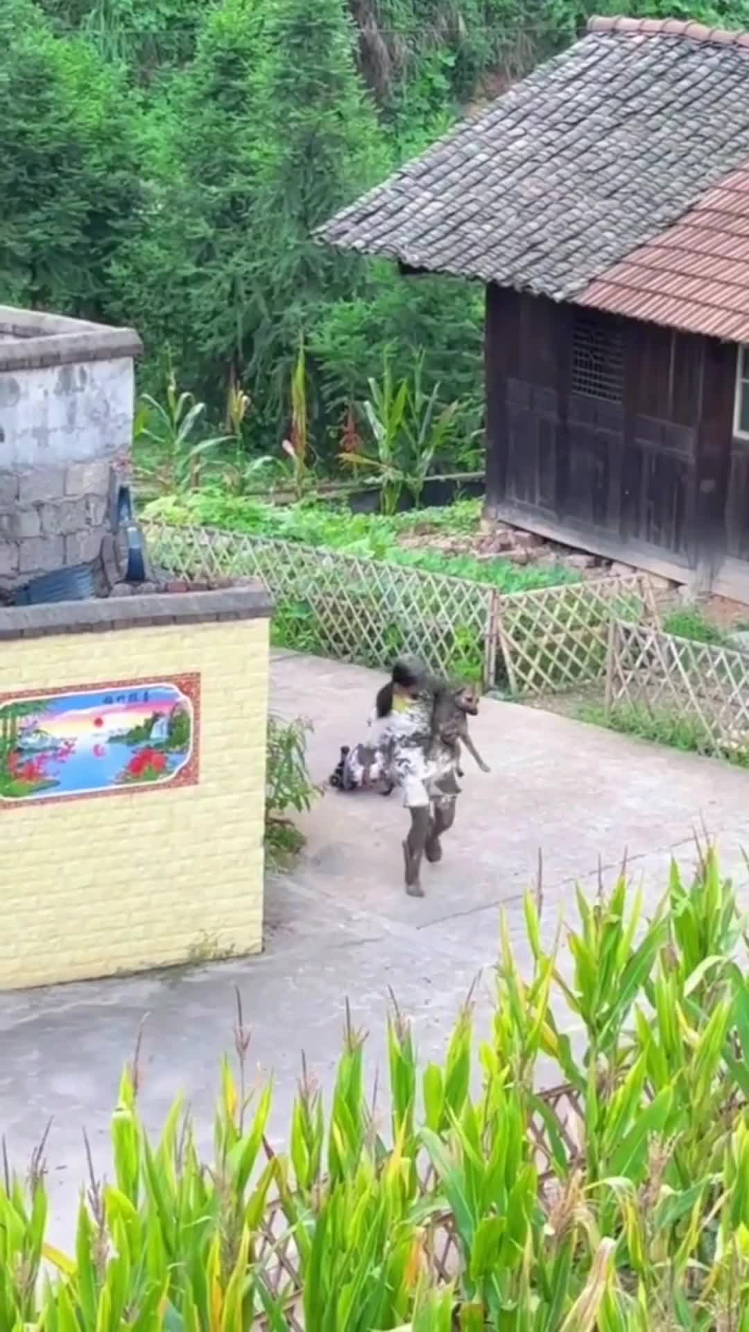awalnya seneng-seneng