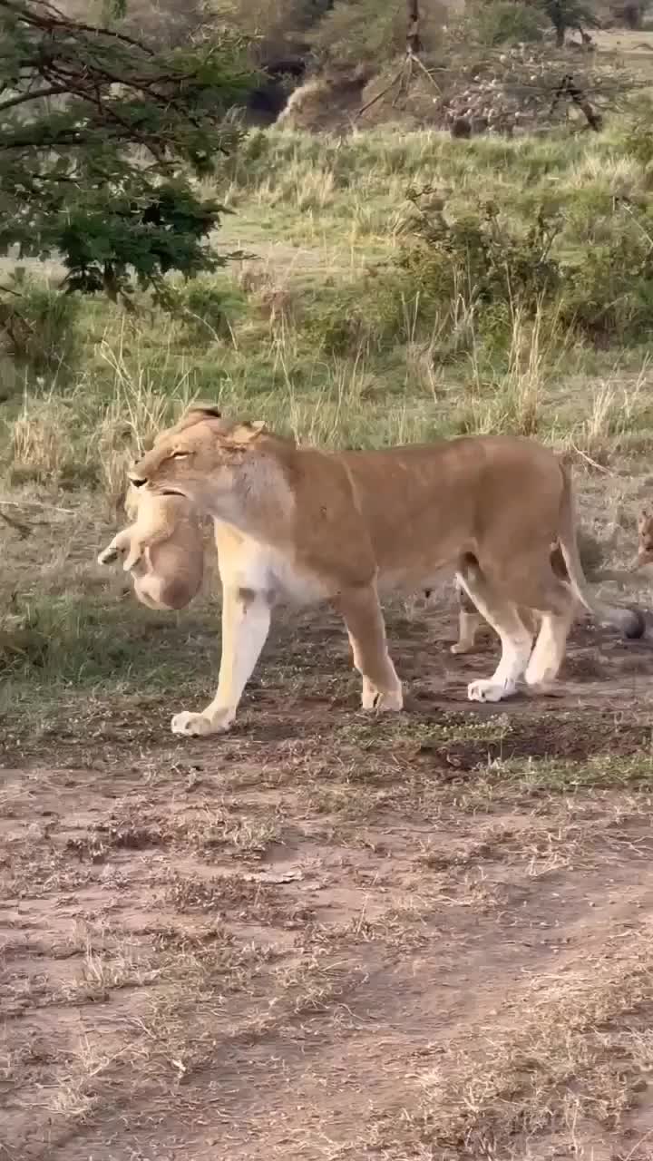Yang di gendong pasti anak bontot
