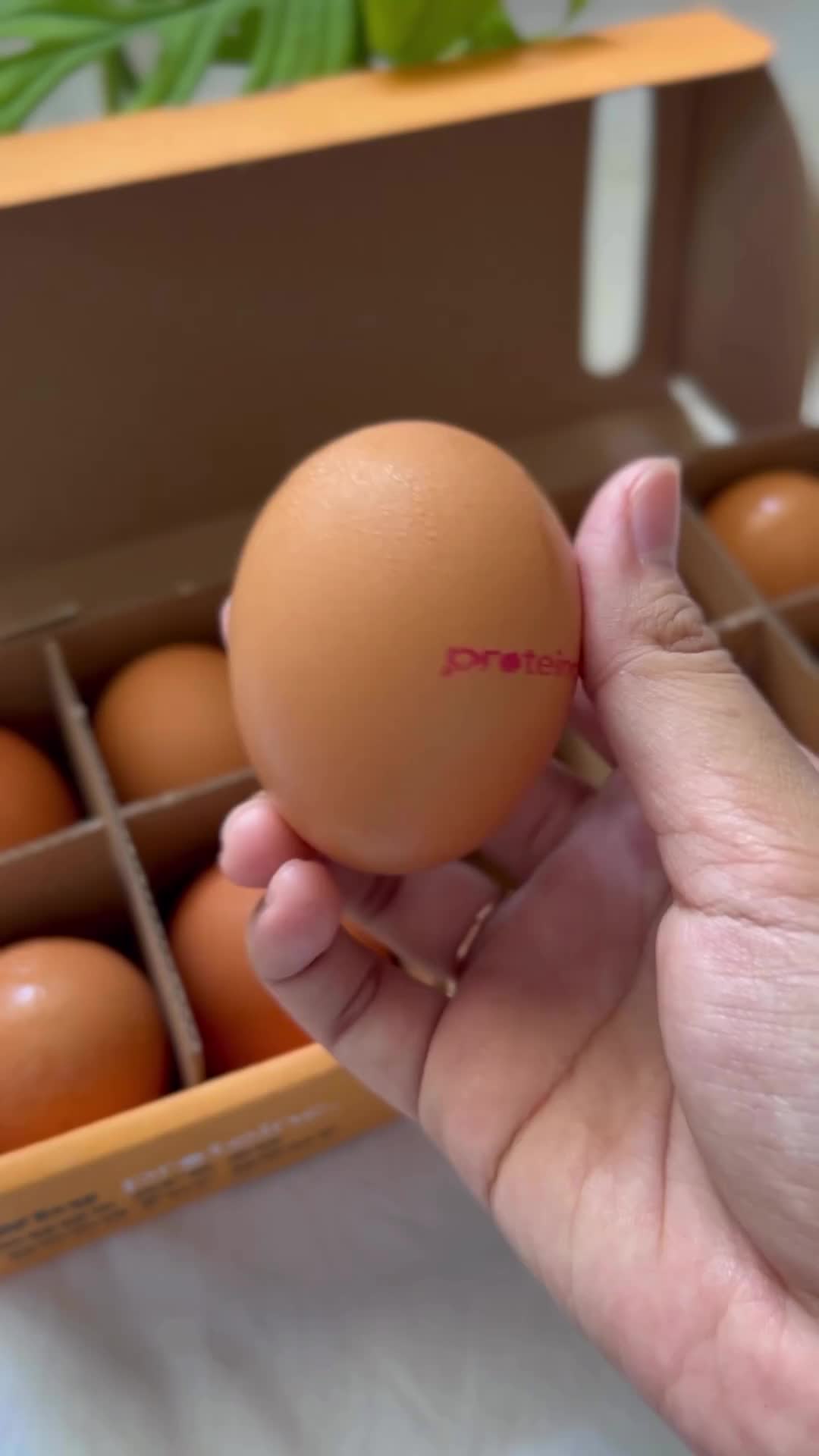 Bukan Telur Dadar Biasa