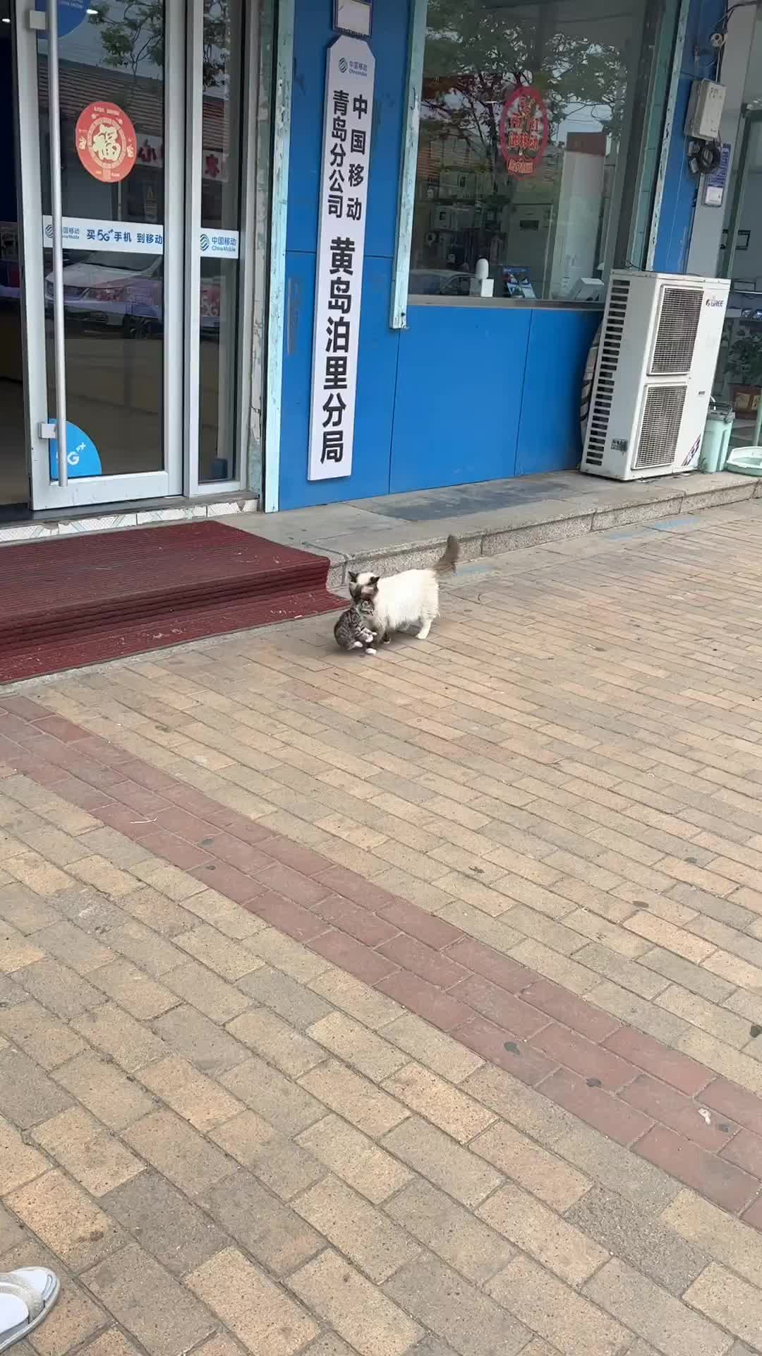 Anak bandel keluyuran muluu