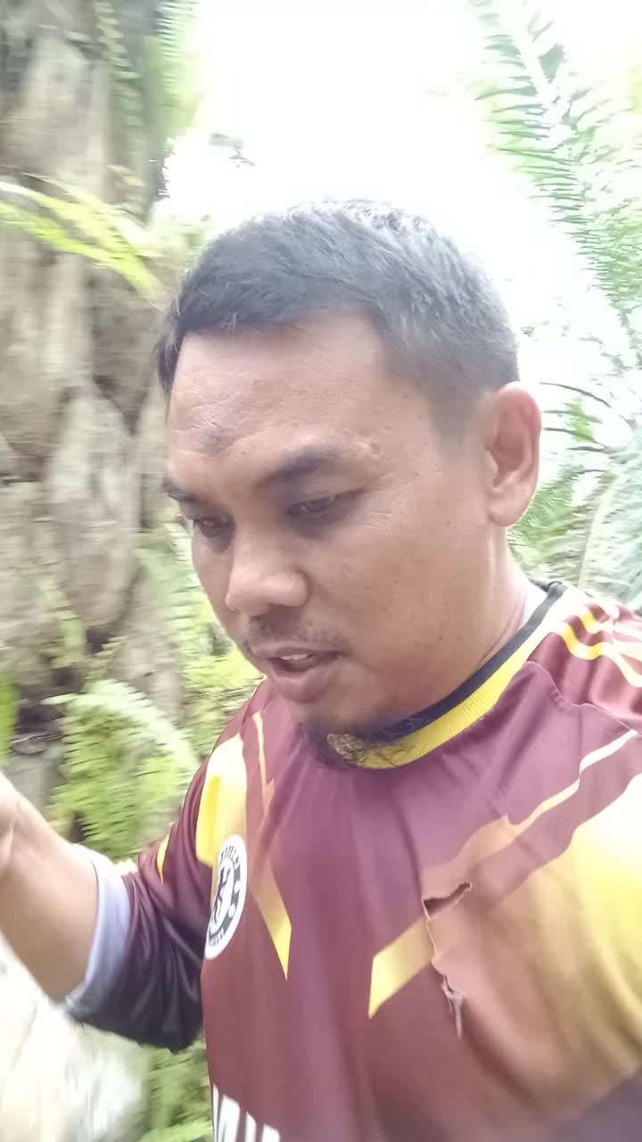 Dengan menggunakan Pupuk tepat guna Fillow slow release hasil panen lebih memuaskan 