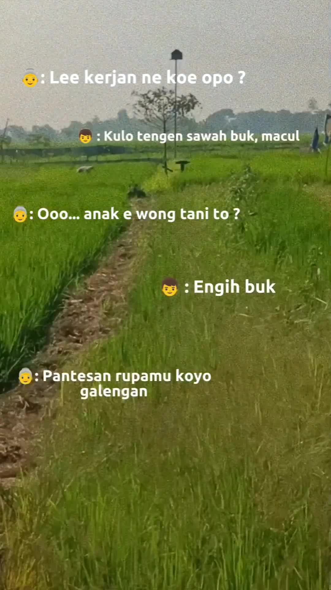 Tapi sawah kulo ra didodol demi nyogok masuk institusi, bu