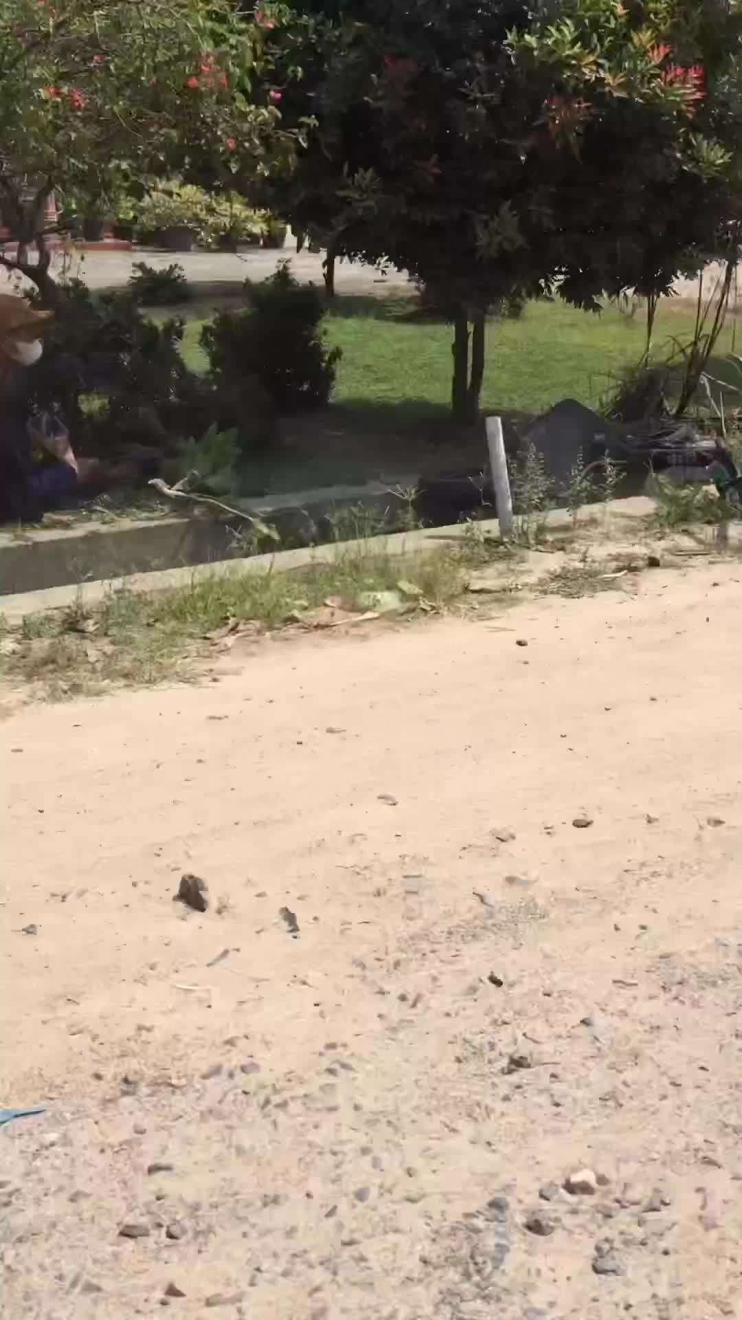apa itu otoped listrik?