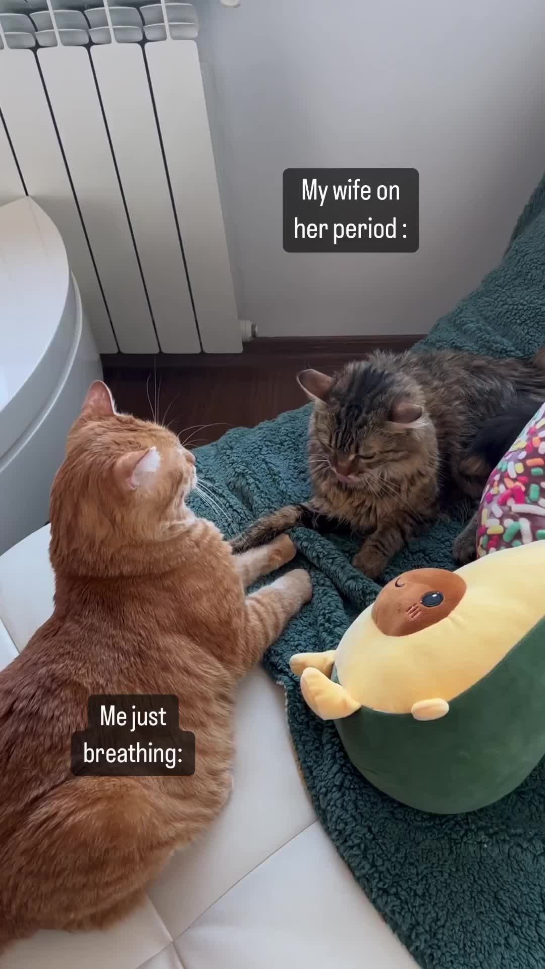 Ketika cewe lagi datang bulan