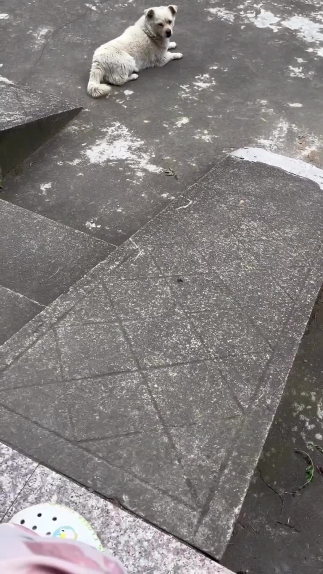 wiii senangnya main prosotan