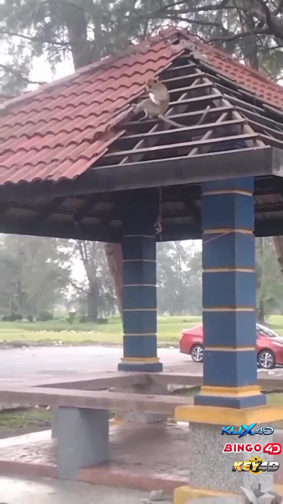 Punya kawan yang kalau ngambek suka rusakin genteng tag dia 😁