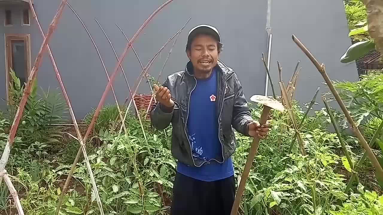 Suherman, 32tahun, Sukabumi. pekerjaan saya petani,  jangan lupa vote saya 😁. semoga bisa menghibur