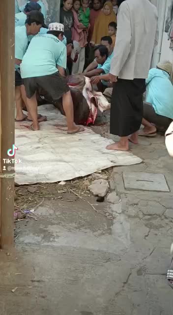 vLog holiday idul adha asLkm semangad berqurban dan meriakan dgn bakar sate di buang sayang tolong bantu love vote folow share coment thanks