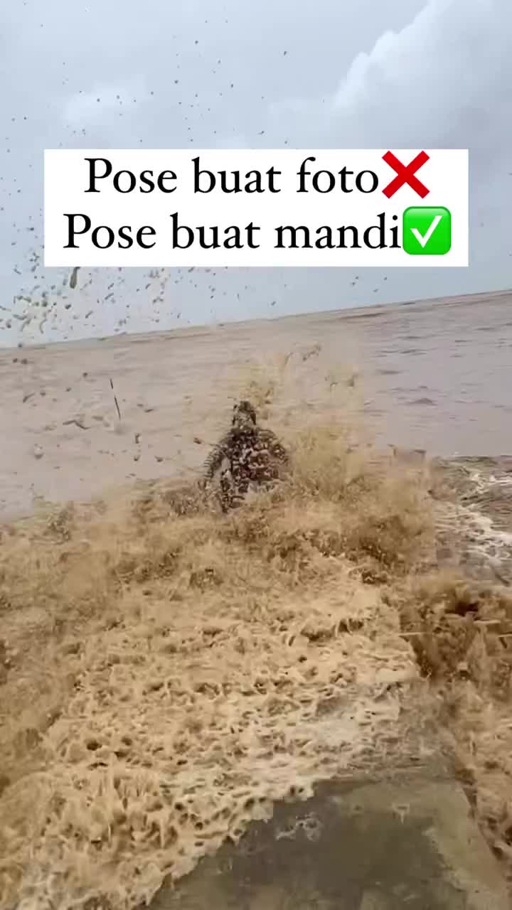 Gagal Video Estetik :(