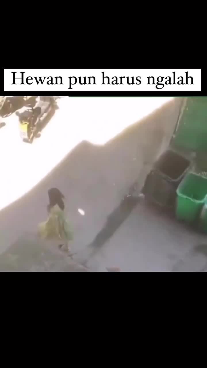 Dahsyatnya Wanita Kalo Ngambek