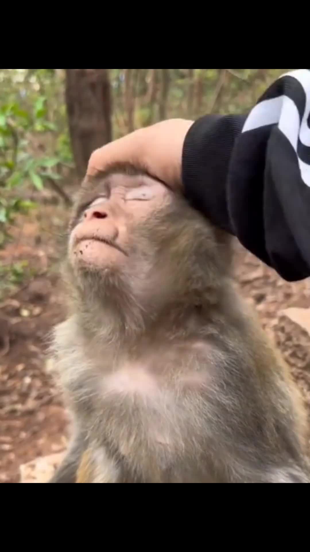 Berat bener masalahnya 