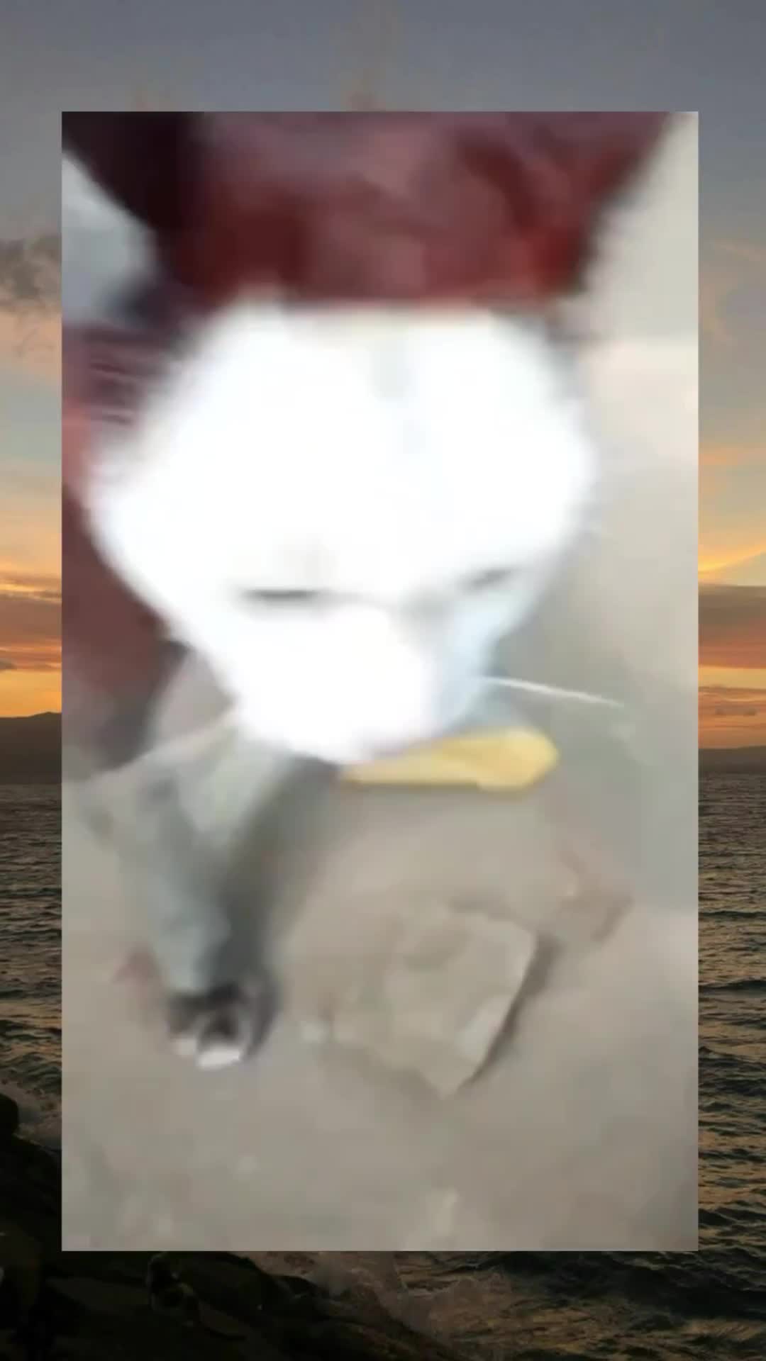 ojo lali pupuran 🤣🤣🤣