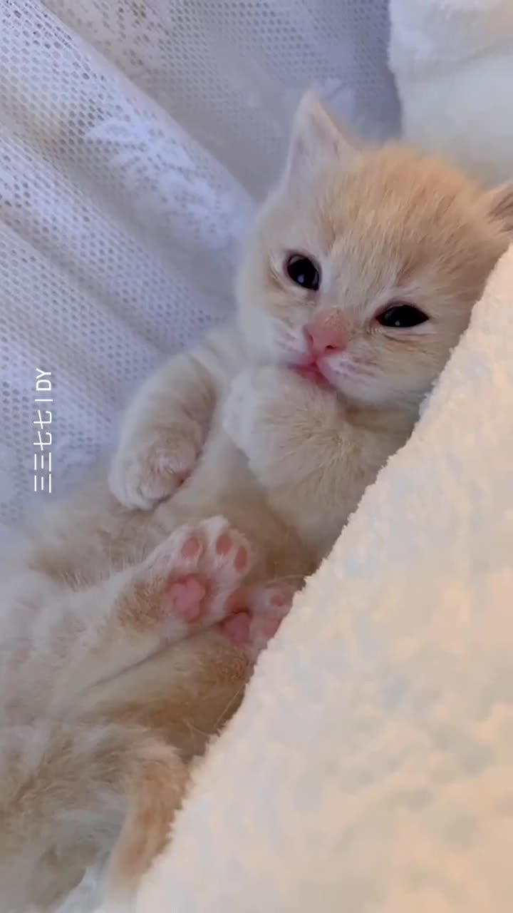 Bayi gemoy sendawa