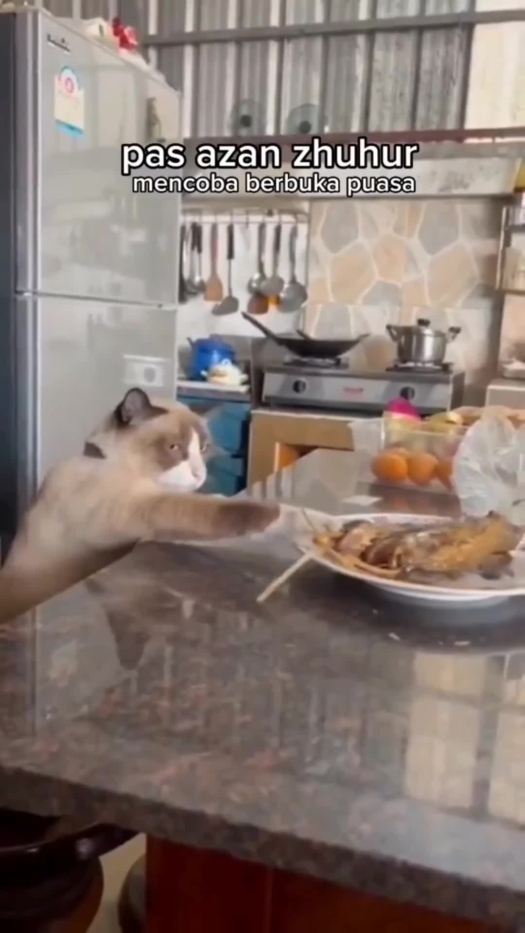 koceng oren mewakili kita banget gaes