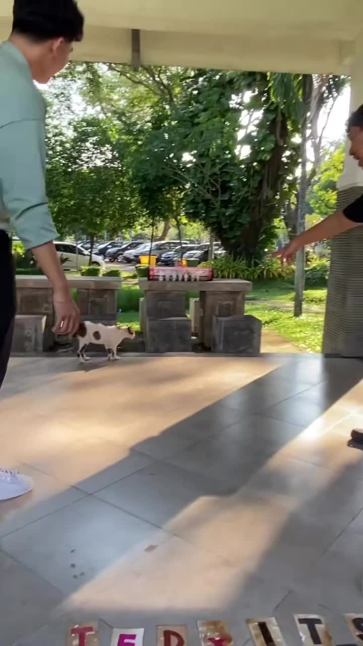 Kucingnya Ikutan Manequeen