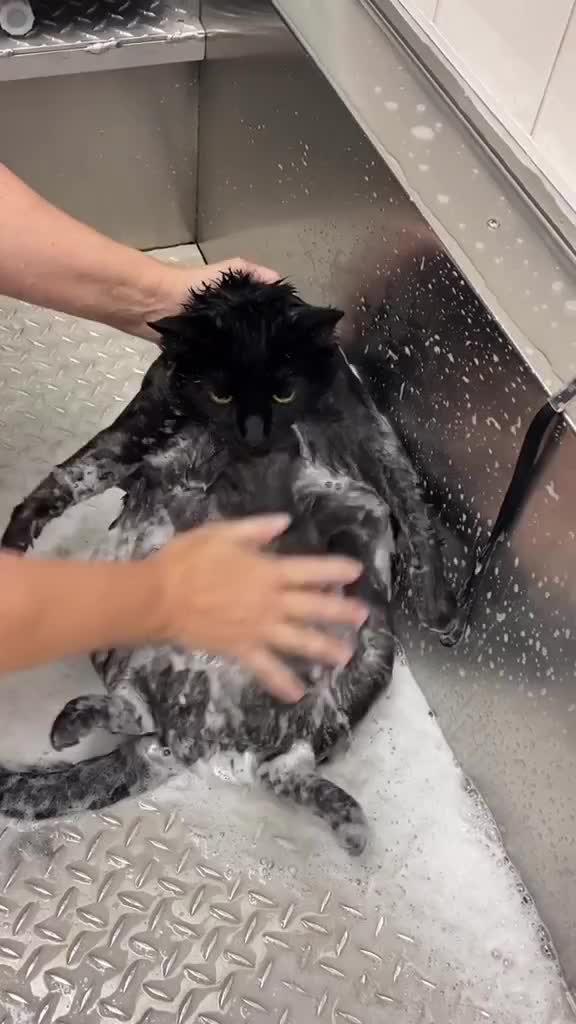Lagi mandi malah bengong