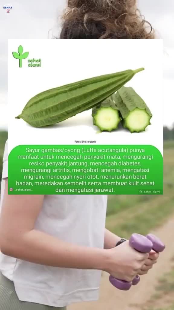 banyak manfaat sayur oyong