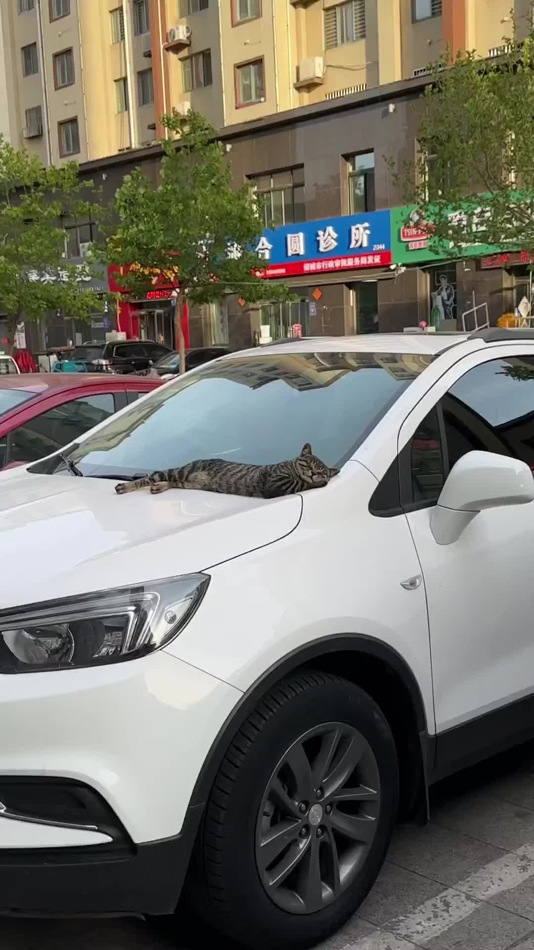 Tukang parkir ketiduran