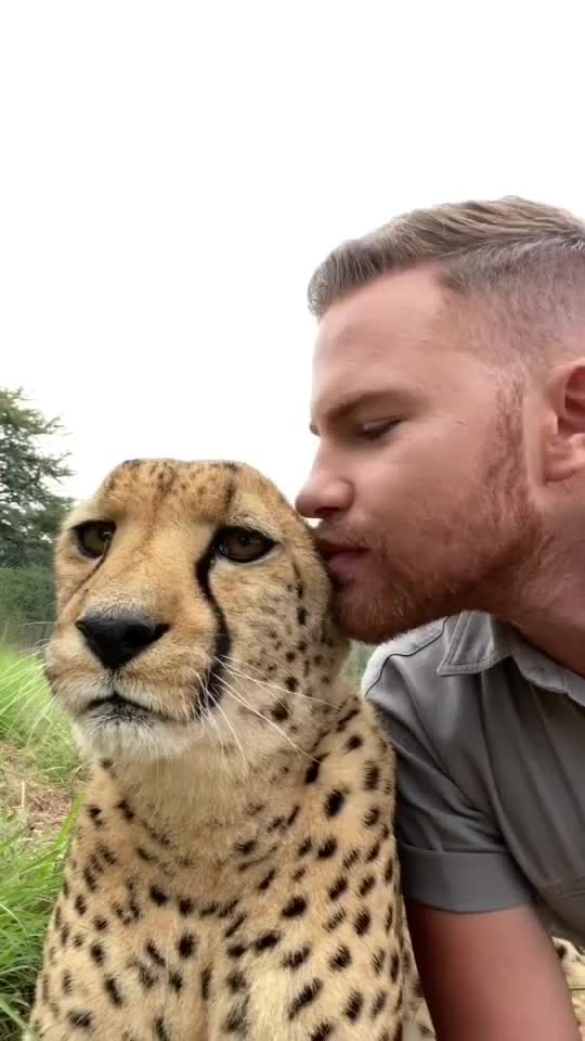Sayang macan tutul