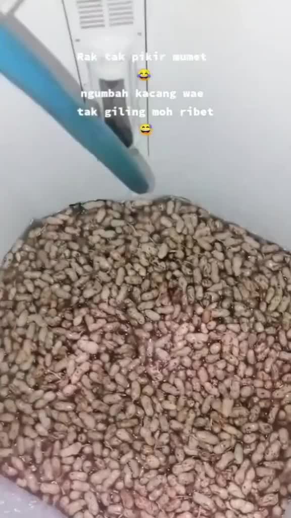Cara Cepat Cuci Kacang
