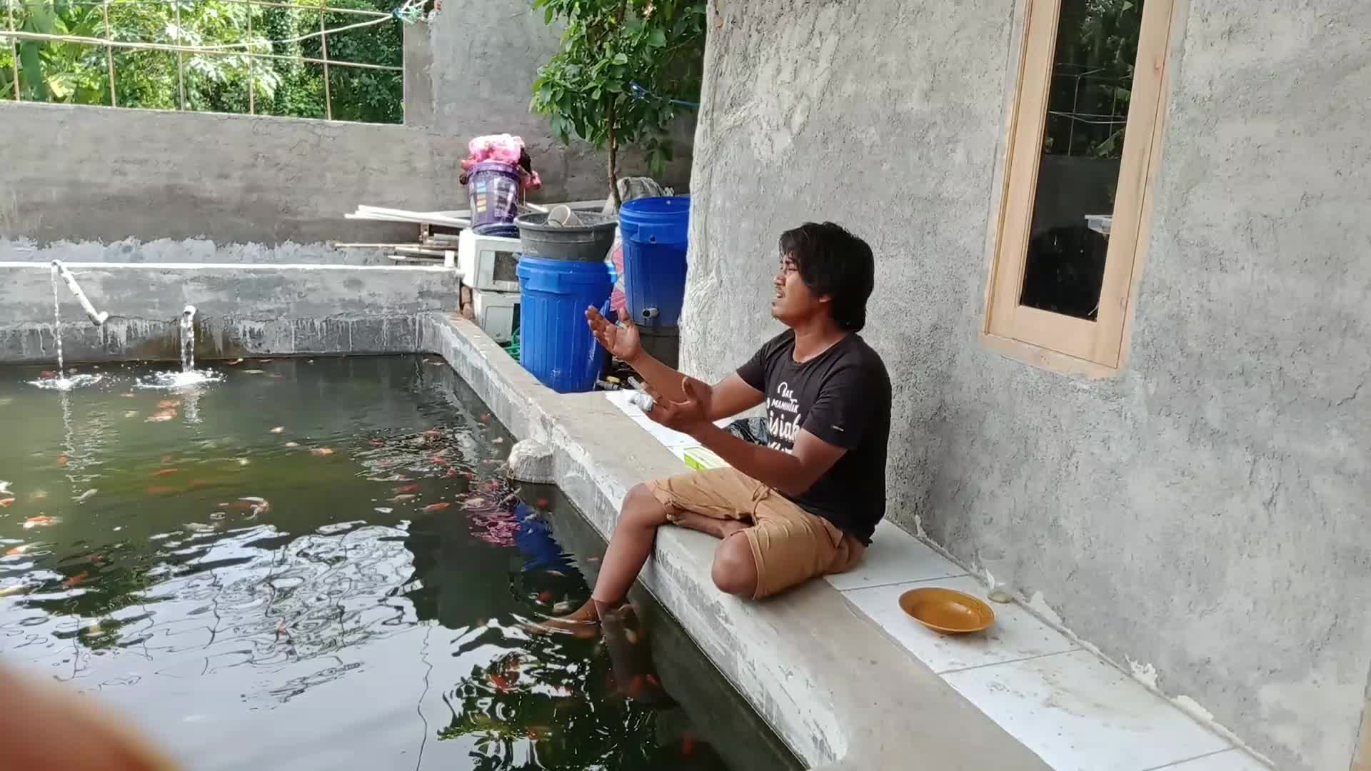 mknang koi Lombok