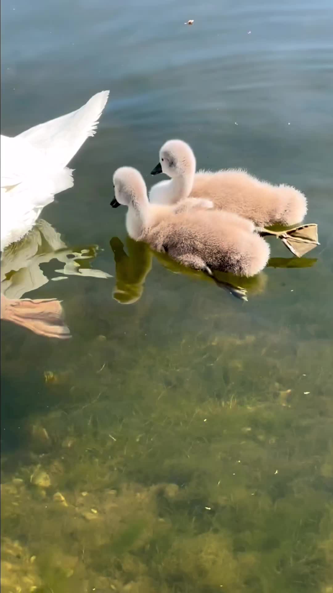 Like mother like child