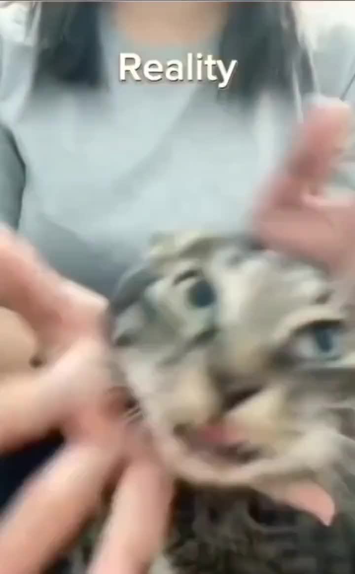 Ga Sesuai Dengan Video Contoh