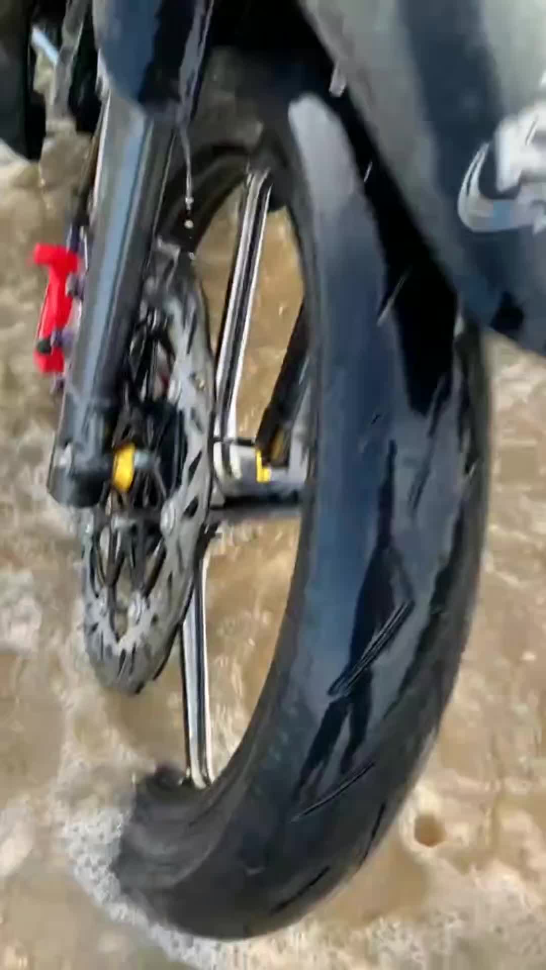 nyuci dilaut