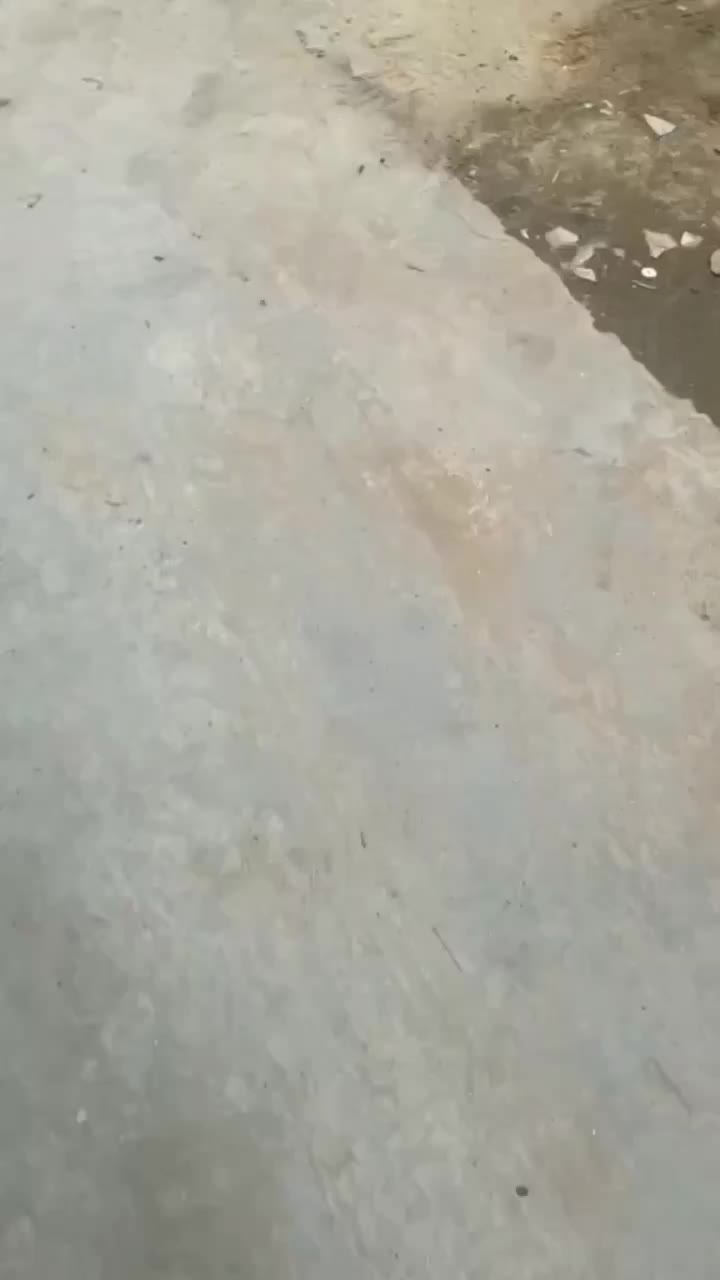 tertipuu