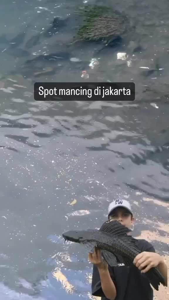 Oknum tukang Siomay happy melihat video ini