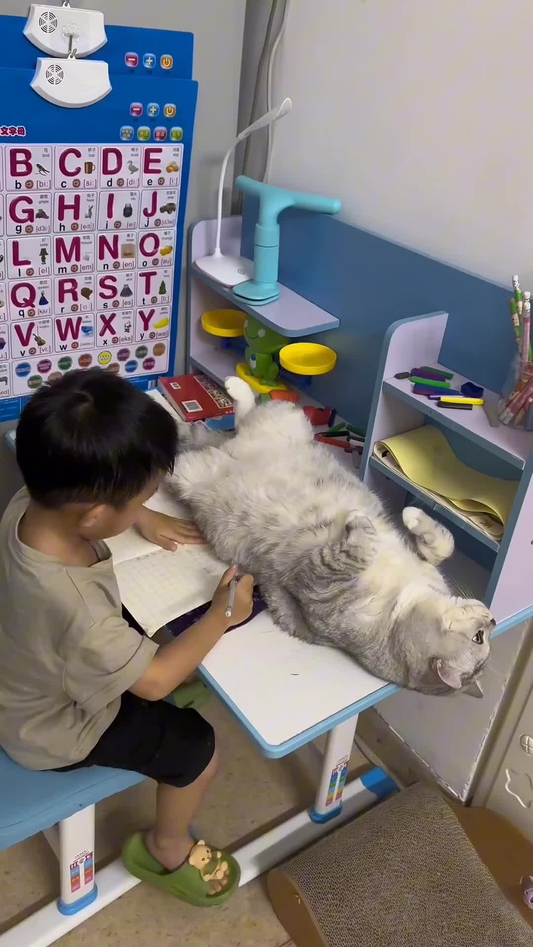 Ganggu banget orang lagi belajar