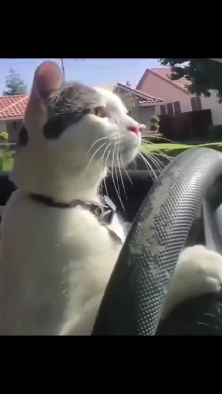 Tesdrive