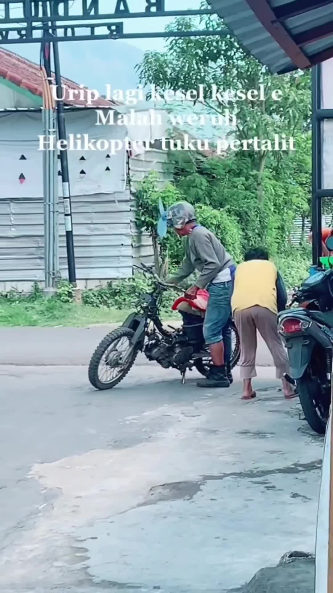 yahh biar adem palanya