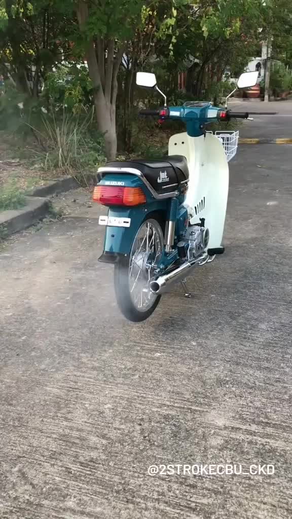 suzuki 100