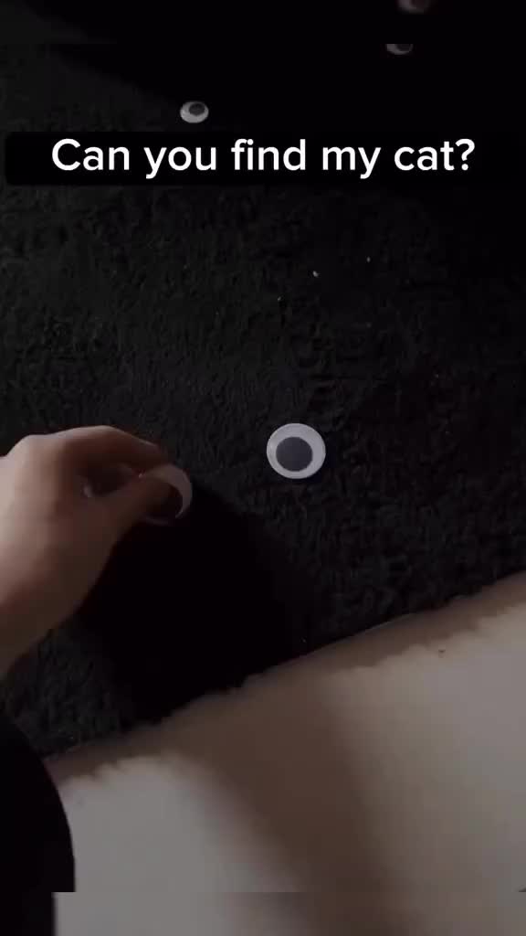 yang mana yang kucing?