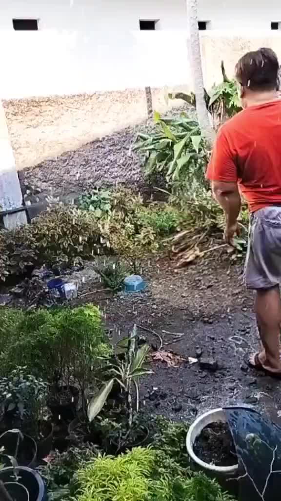Asik Banget Goyangan Ajojingnya