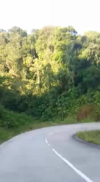 sedang berjuang semoga di jaga dan di lindungi