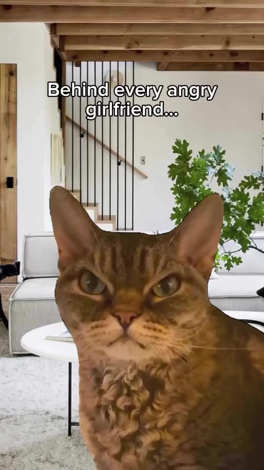 forever confused