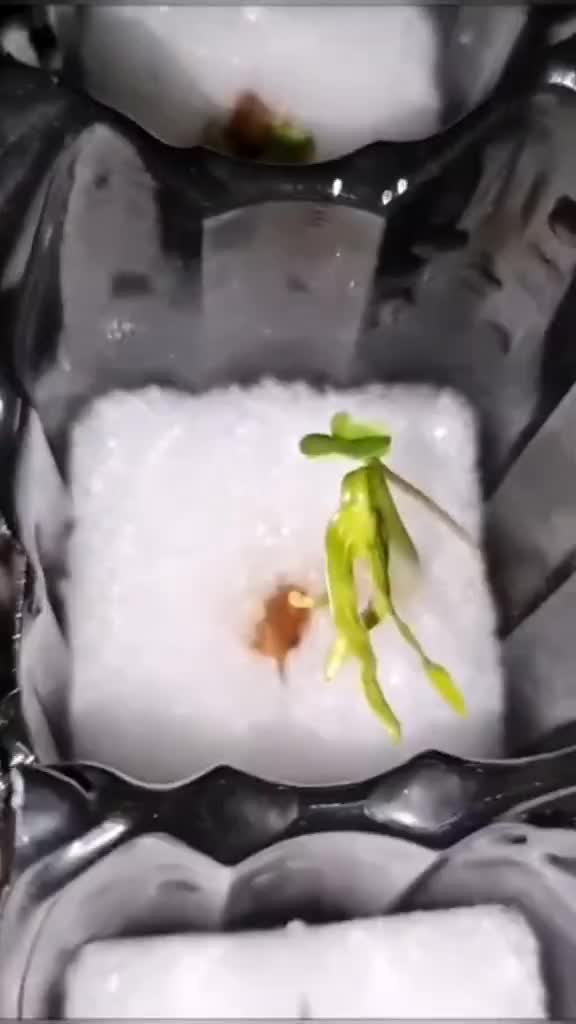 Proses pembuatan dari bahan bekas semua 👍