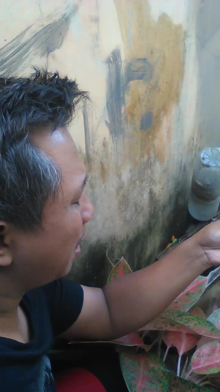 bantu vote share n like