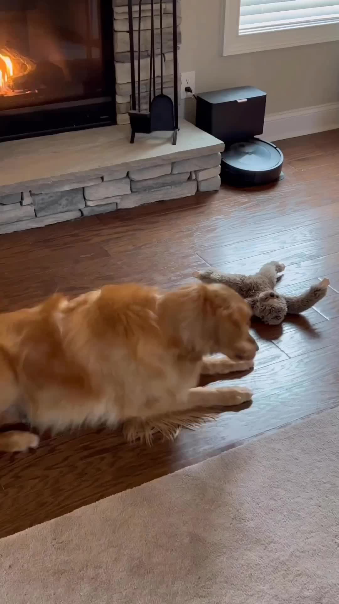 Lagi main boneka malah di videoin