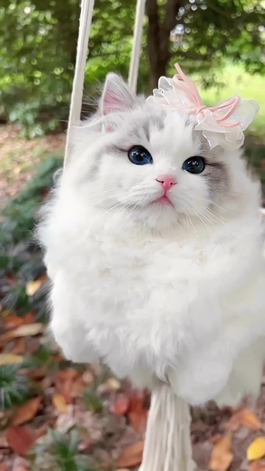 Barbie berbulu gemoy cantik