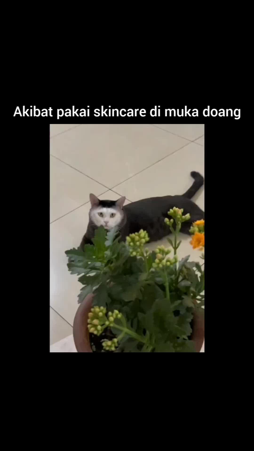 kalo pake skincare yang rata yah gaes