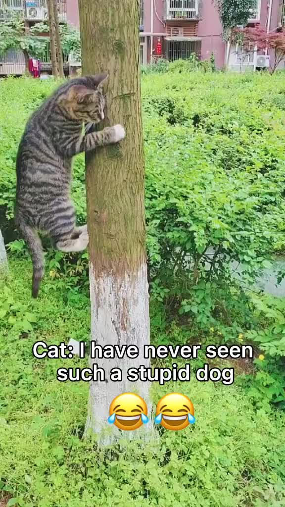 😺: sukurin lo gak bisa nengok atas jd gak bisa nemu gw