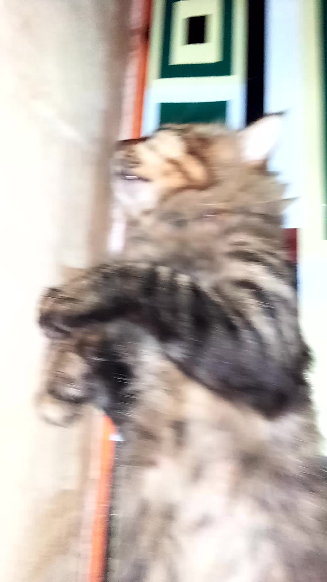 Tidur Sambil Mimpi Kali Ya ☺️
