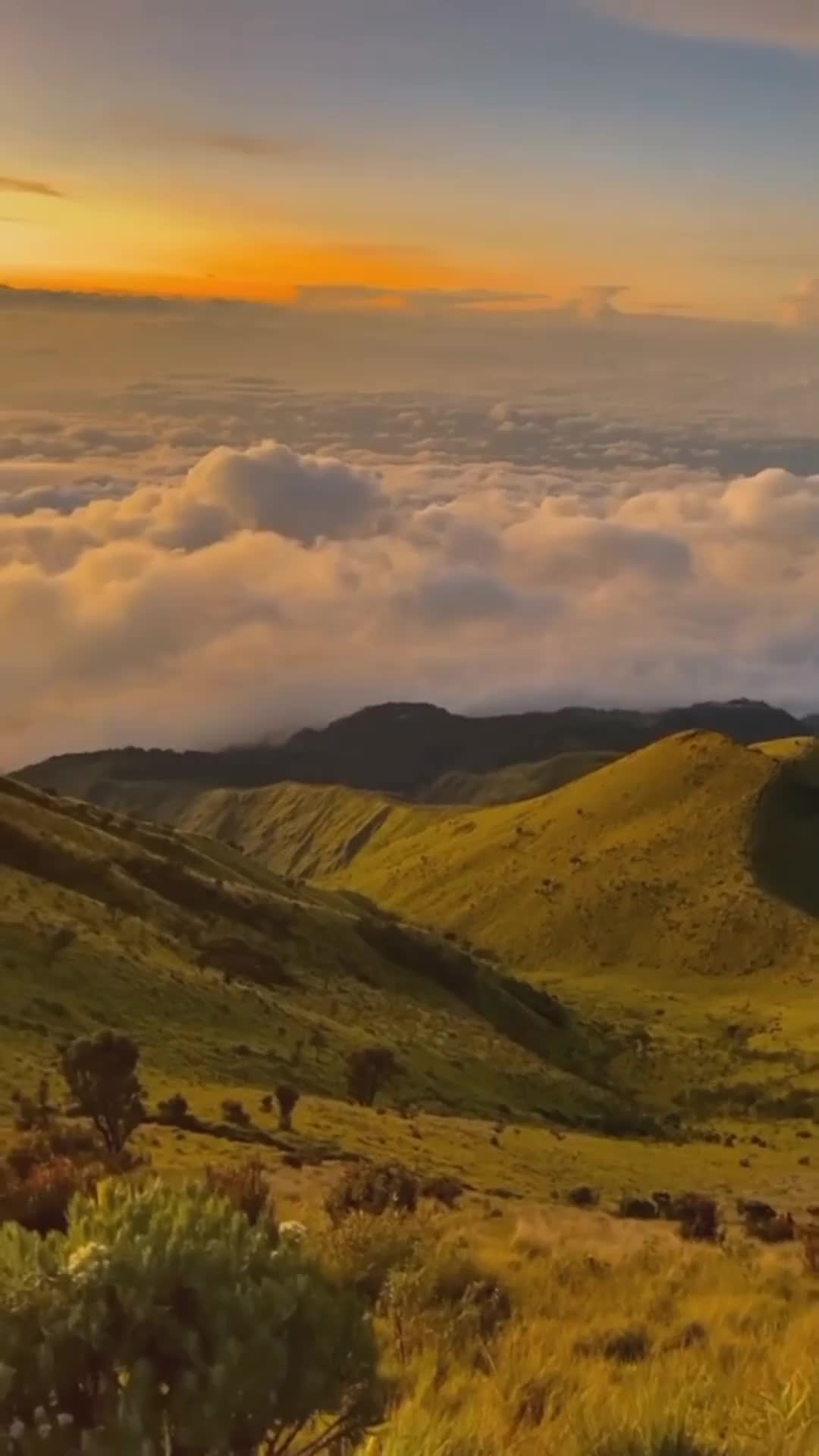 Kangen kesini nggak 🥲. Merbabu via suwanting