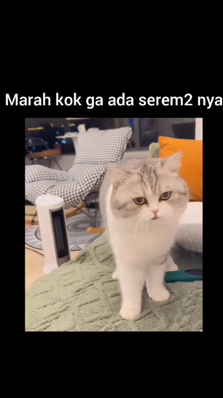 Marah ga ada serem seremnya