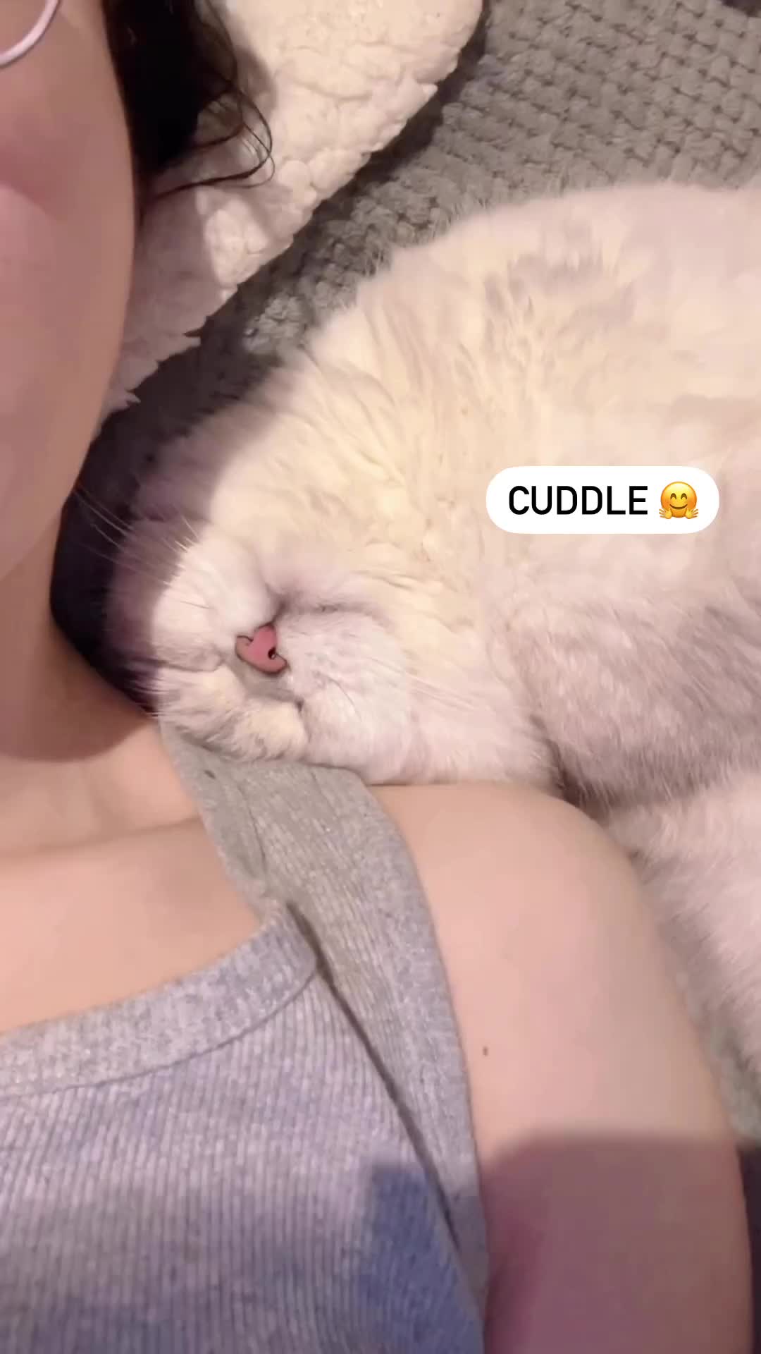Lagi pengen dimanja
